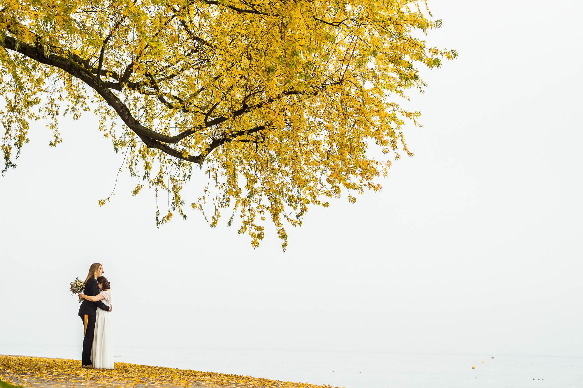 Export x3 1DX29372 Hochzeit 2020 Monika & Sharru 3